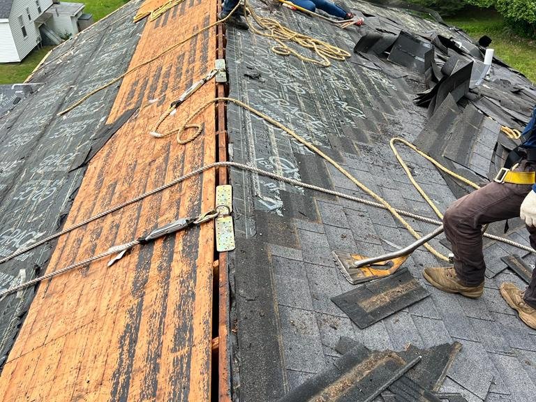 Siguenza Construction INC