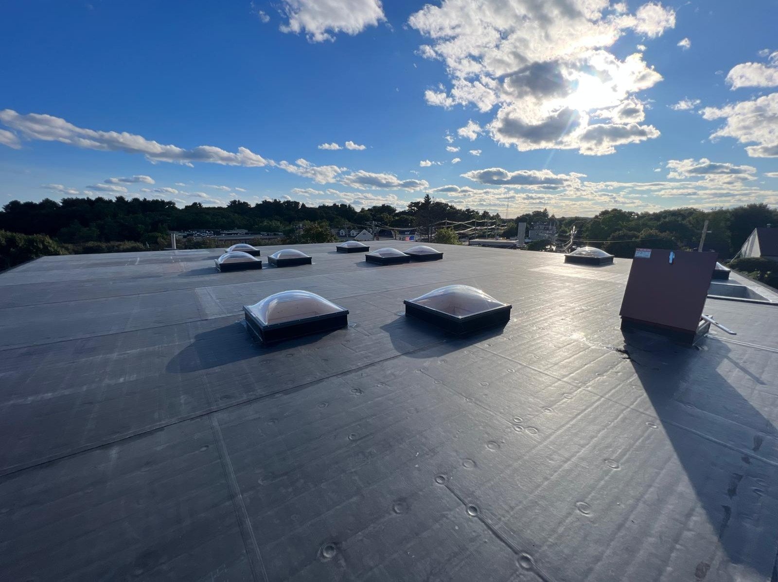 Siguenza Construction INC